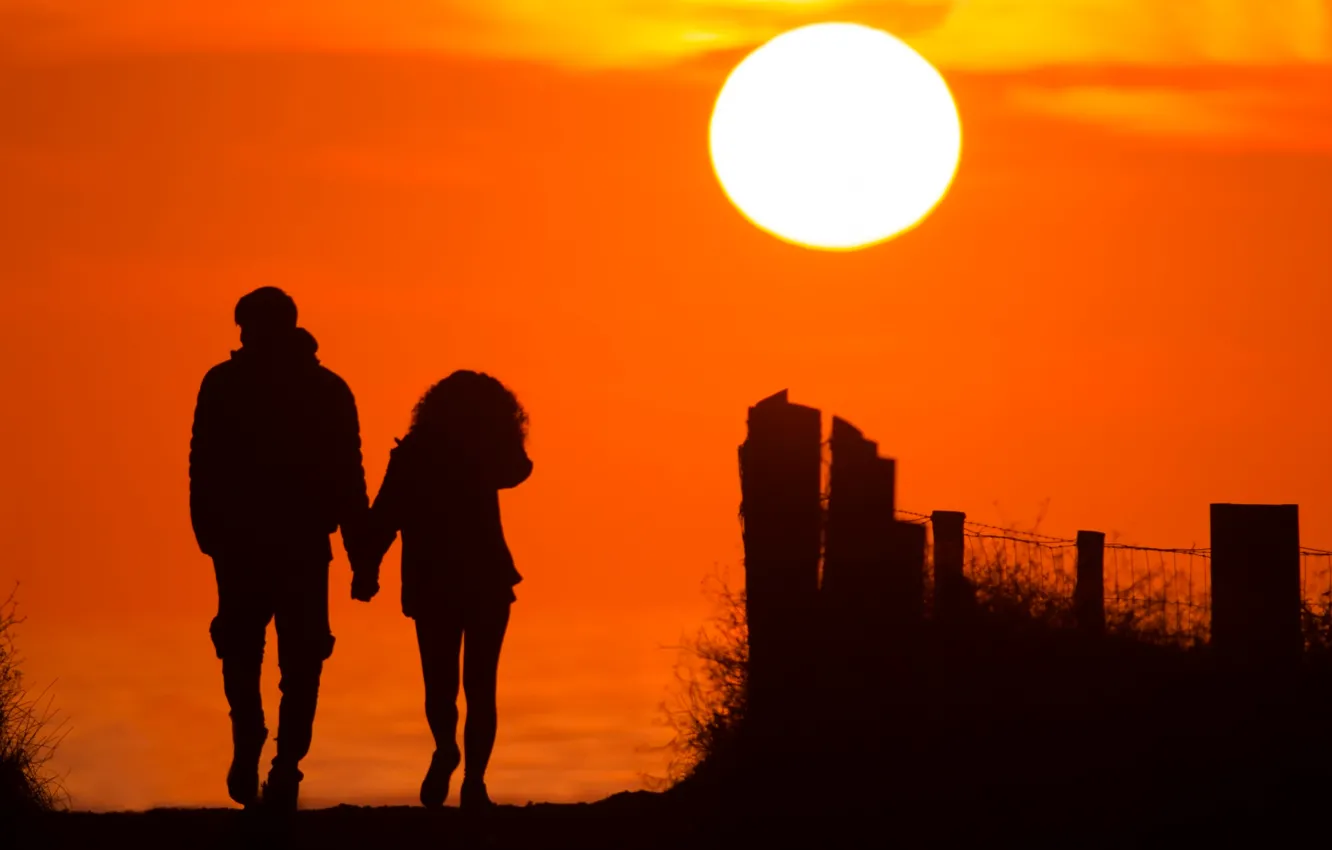 Photo wallpaper the sun, silhouette, pair
