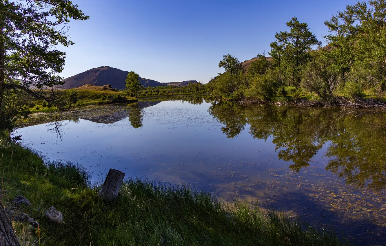 Photo wallpaper trees, river, horizon, pond, water surface, blue sky, The morning before, Vladimir Kaverin