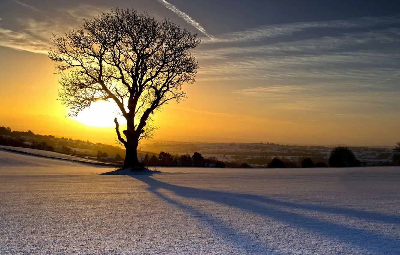 Photo wallpaper winter, trees, sunset