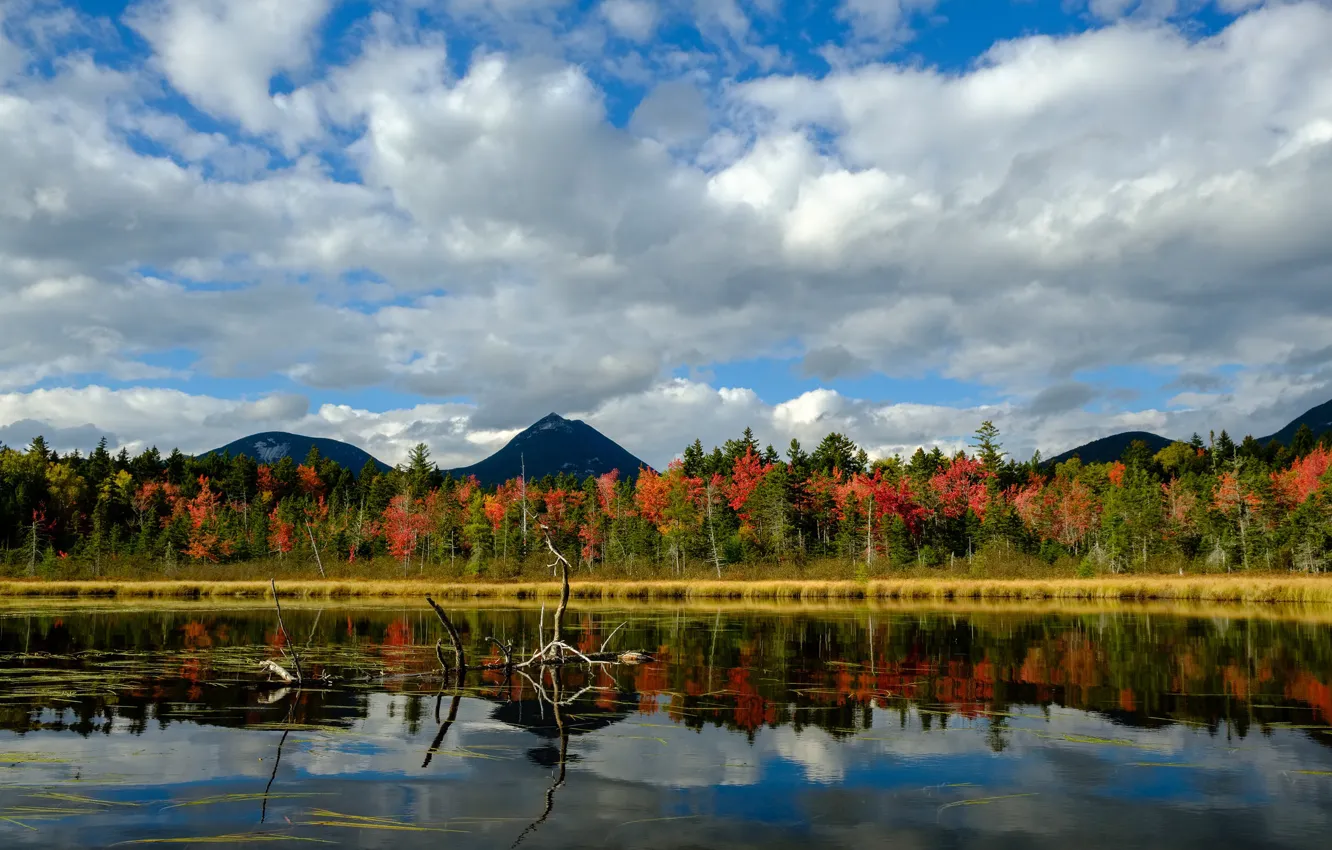 Photo wallpaper the sky, clouds, trees, mountains, pond, Baxter State Park
