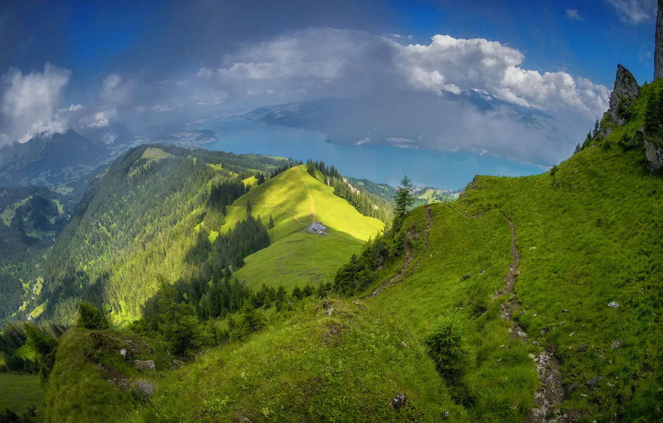 Photo wallpaper forest, mountains, house
