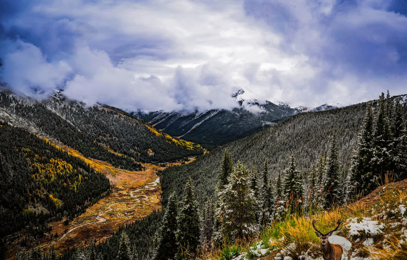 Photo wallpaper clouds, mountains, deer