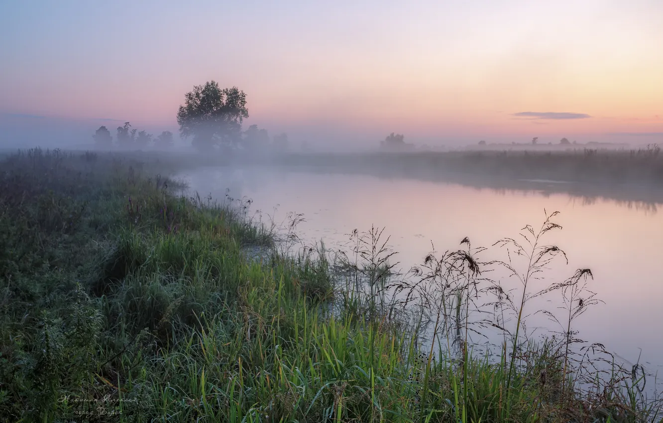 Photo wallpaper grass, fog, river, morning, horizon, misty morning, the beauty of nature, Nikitin Alexey
