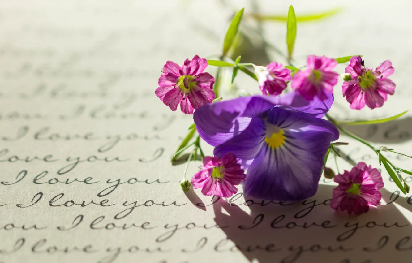 Photo wallpaper letter, macro, style, viola
