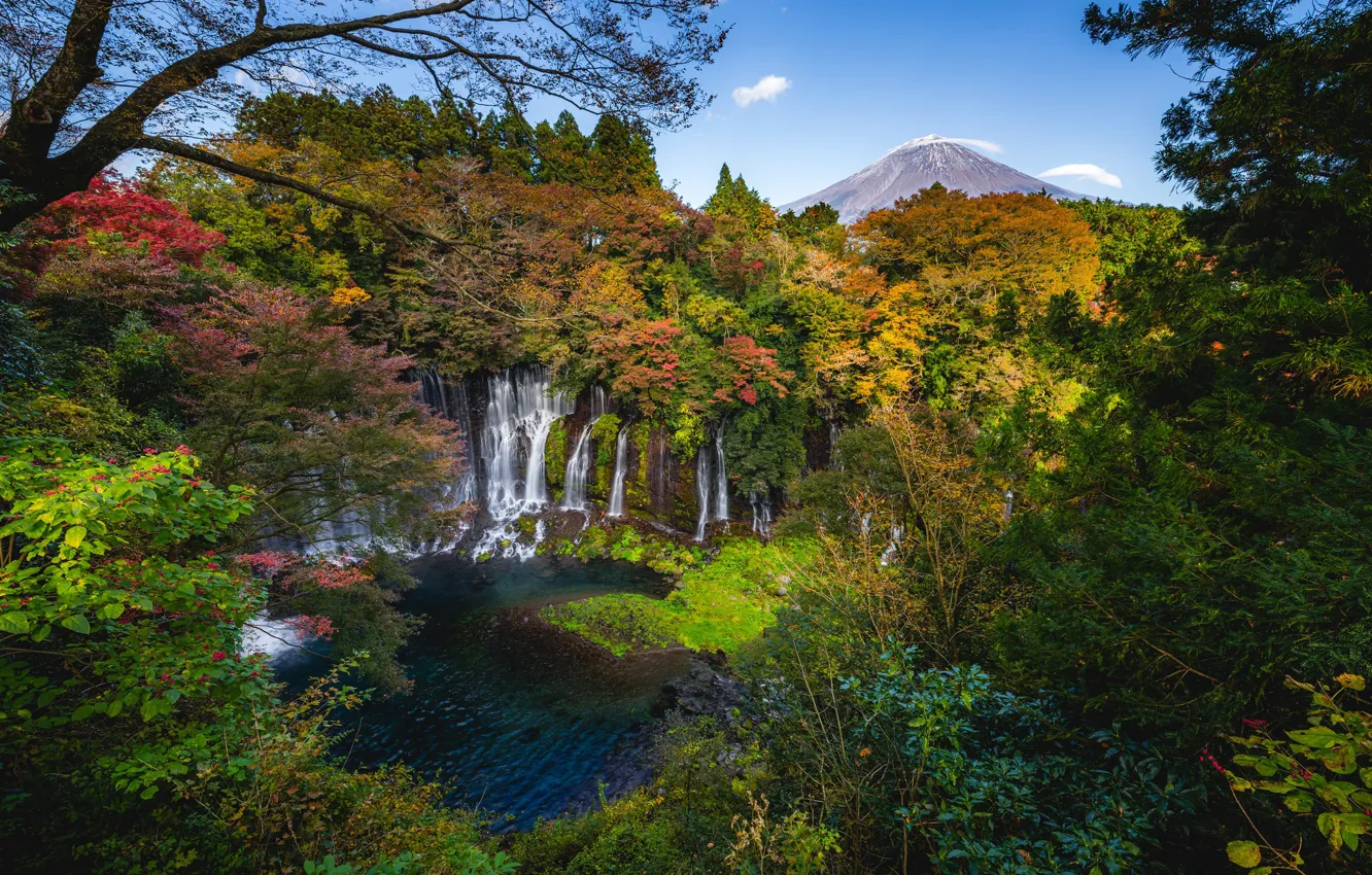 Photo wallpaper autumn, forest, trees, river, waterfall, Japan, Japan, cascade