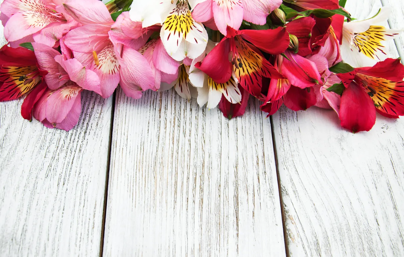 Photo wallpaper flowers, Lily, pink, wood, pink, flowers, lily