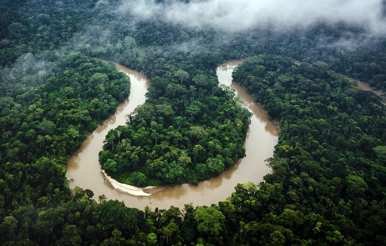 Photo wallpaper River, Ecuador, River, Ecuador, Amazon, Amazon, Rainforest, Rainforest