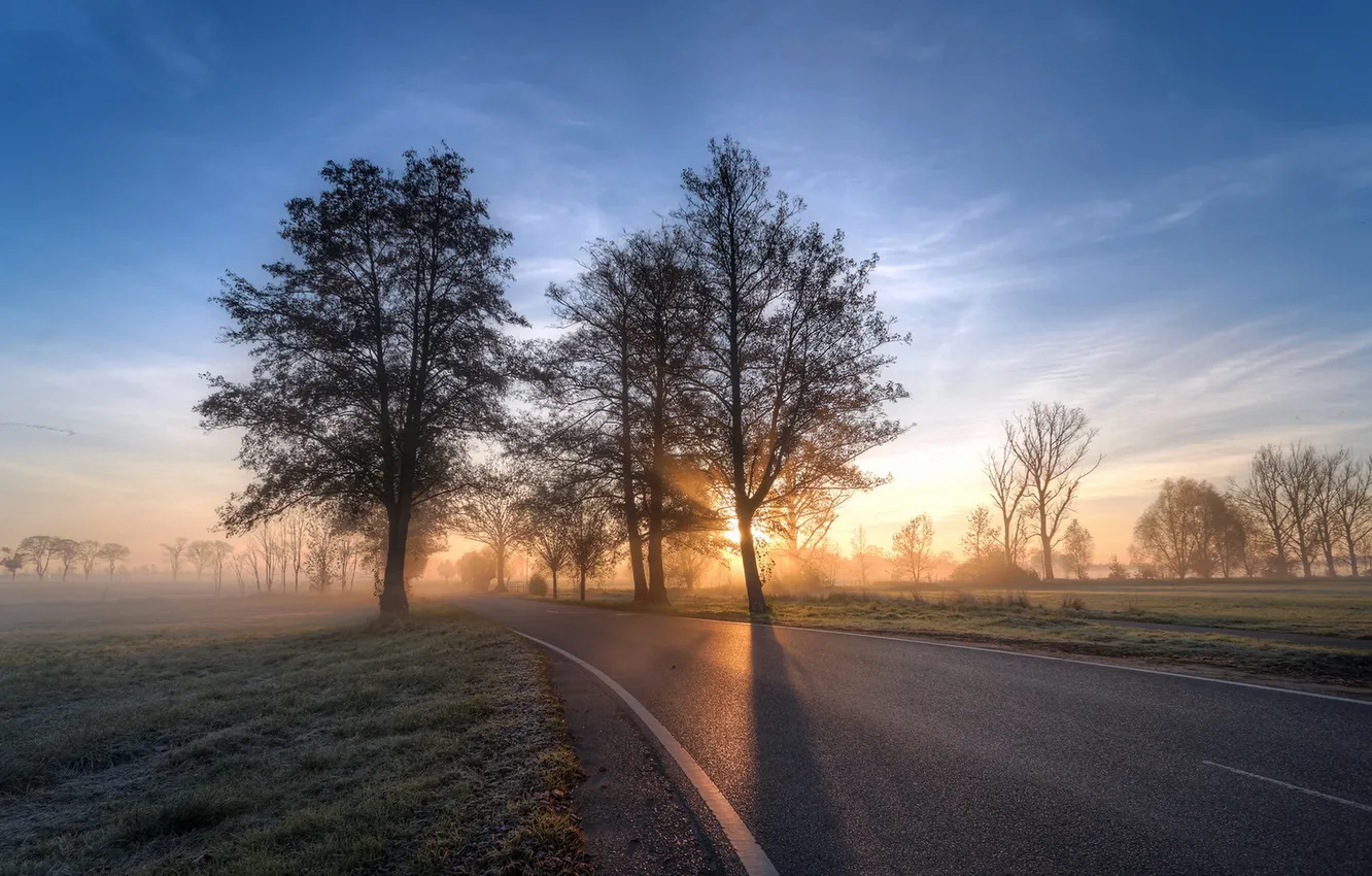 Photo wallpaper road, fog, morning