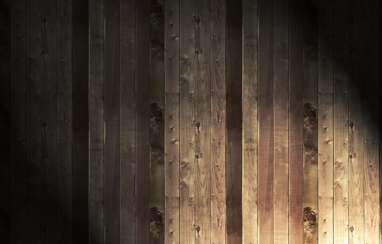 Photo wallpaper trees, background, texture