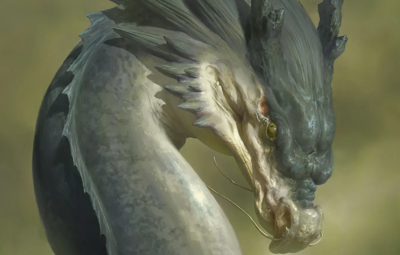 Photo wallpaper face, dragon, monster