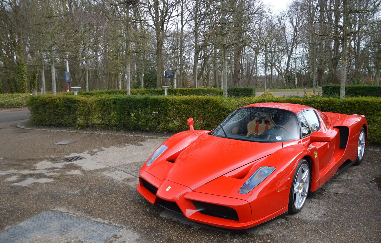 Photo wallpaper Ferrari, red, supercar, Enzo