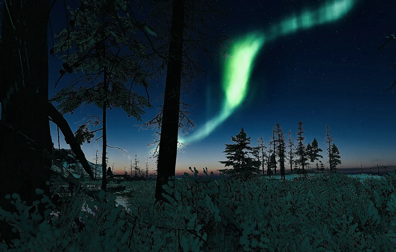 Photo wallpaper HDR, game, sky, trees, stars, bush, UHD, XBox One X