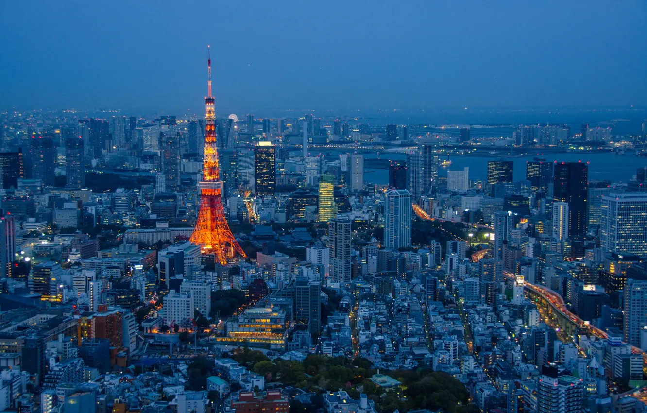 Photo wallpaper night, the city, lights, tower, home, dal, skyscrapers, Japan