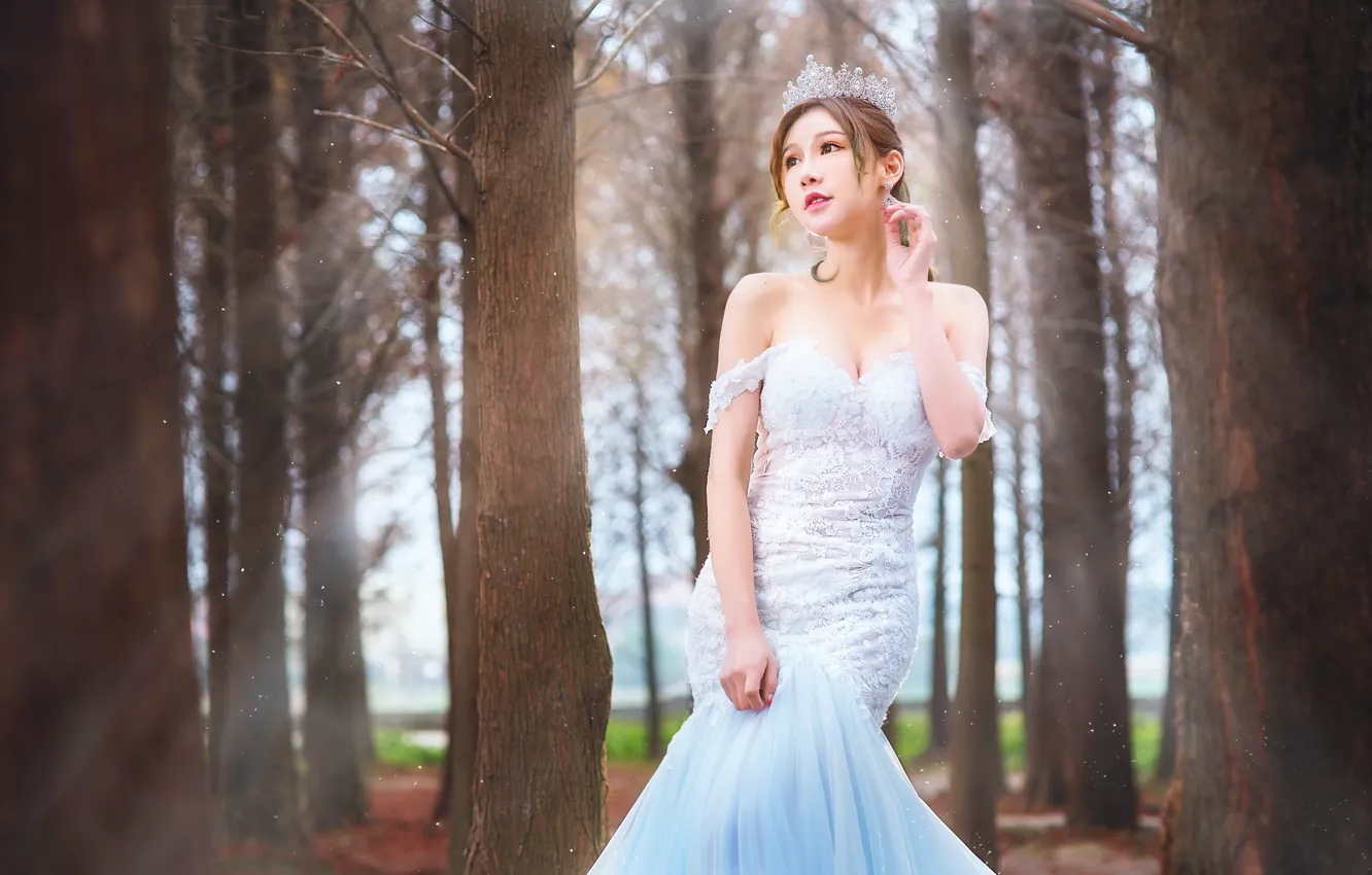 Photo wallpaper forest, look, girl, dress, Asian, the bride