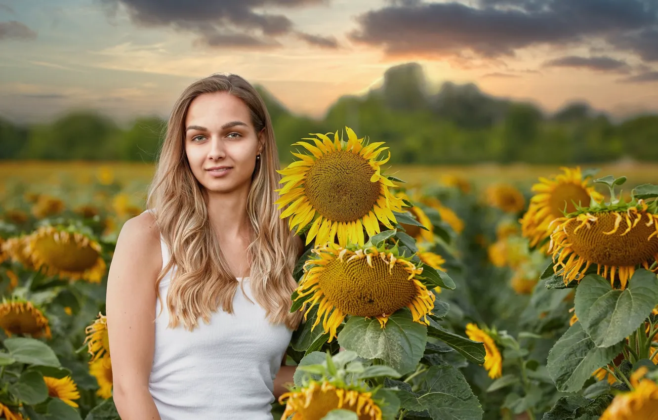 Photo wallpaper summer, girl, sunflowers, Lucka