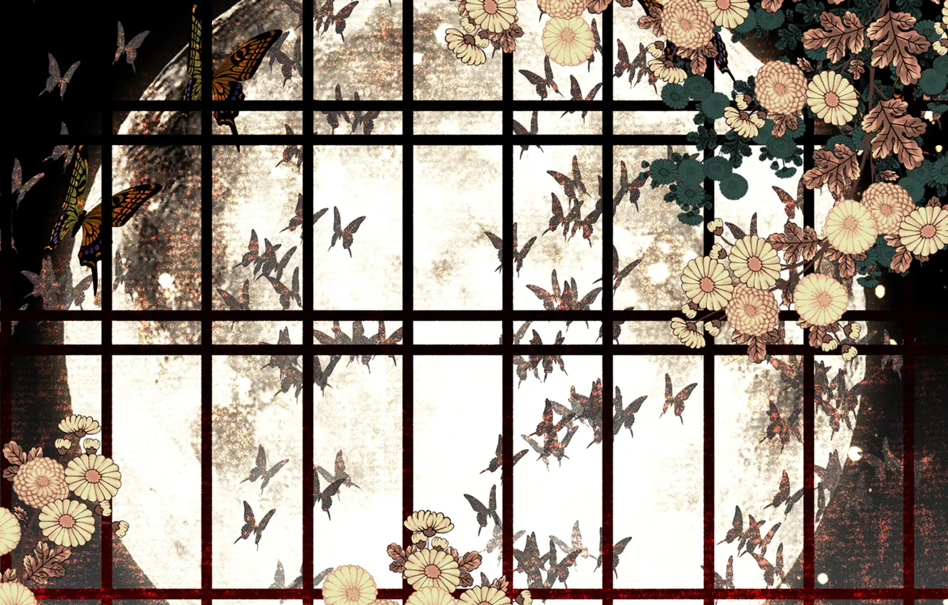 Photo wallpaper butterfly, flowers, night, The moon, window