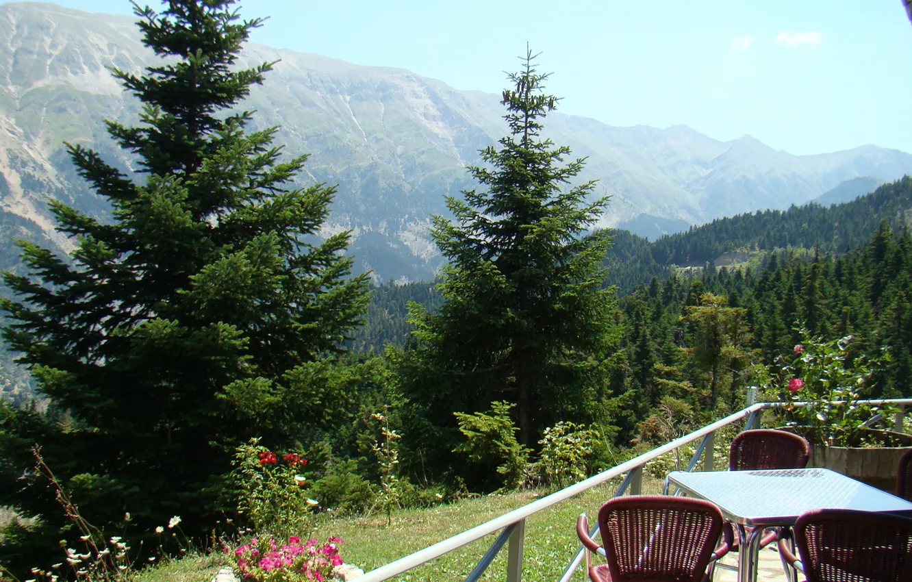 Photo wallpaper forest, mountain, Epirus Greece