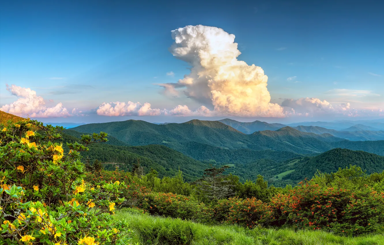 Photo wallpaper greens, clouds, landscape, nature, hills