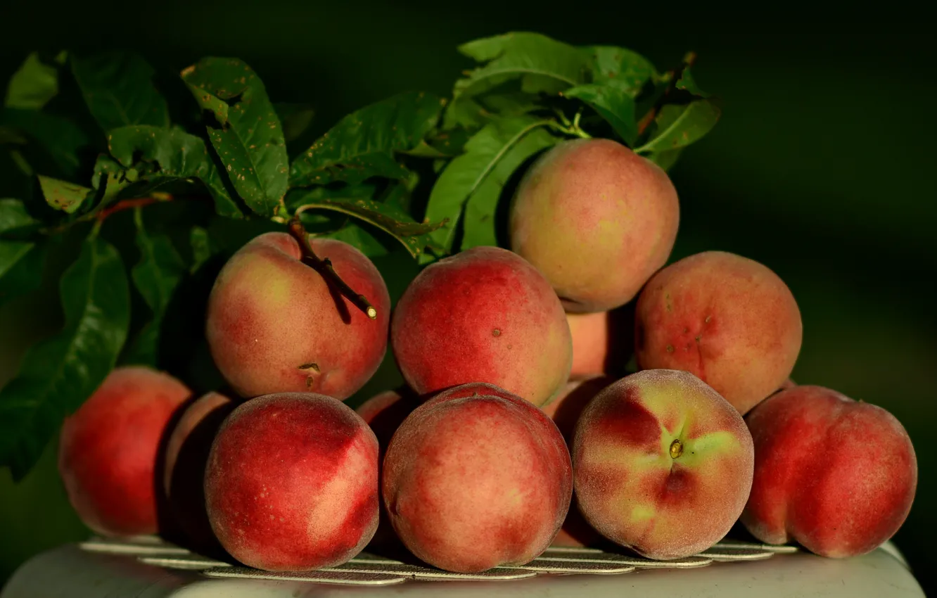 Photo wallpaper harvest, fruit, peaches