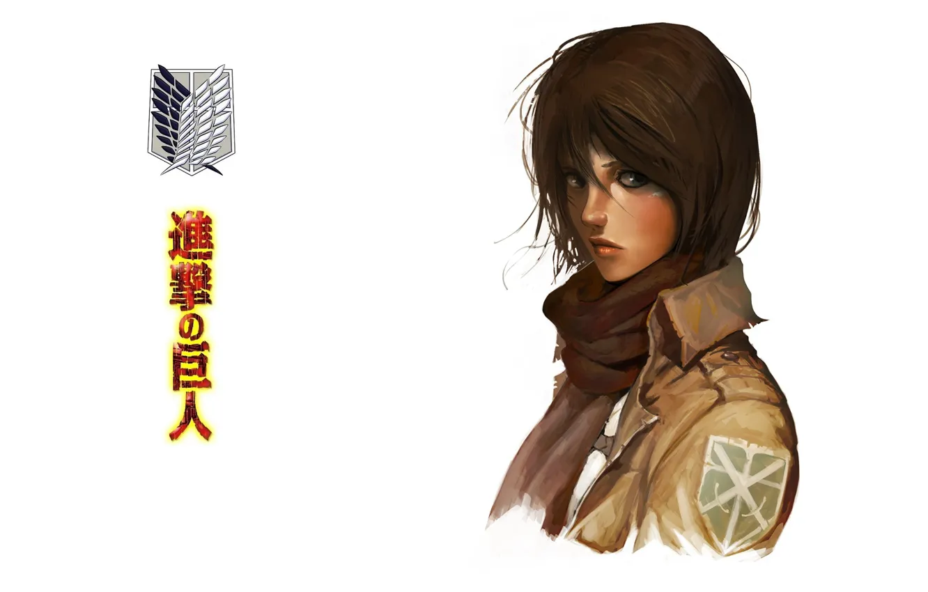 Photo wallpaper look, characters, white background, emblem, military uniform, Shingeki no Kyojin, Mikasa Ackerman, red scarf