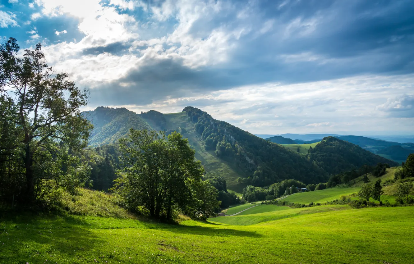 Photo wallpaper road, greens, field, forest, the sky, grass, the sun, clouds