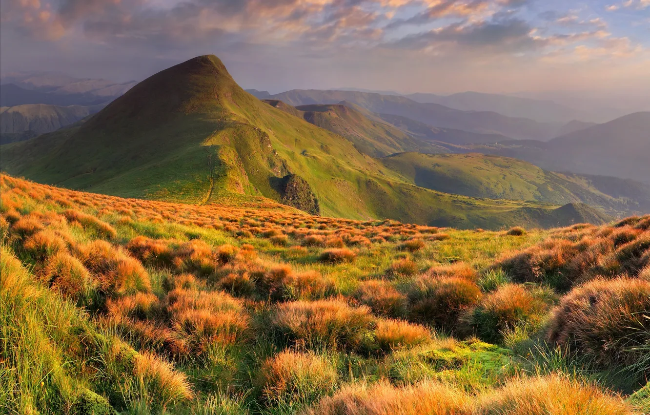 Photo wallpaper grass, clouds, hills