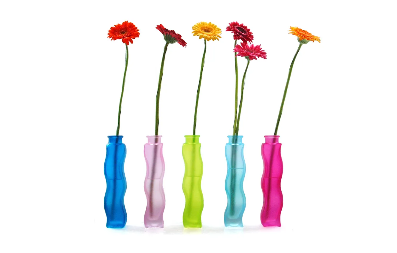 Photo wallpaper Wallpaper, petals, stem, vase, still life, gerbera