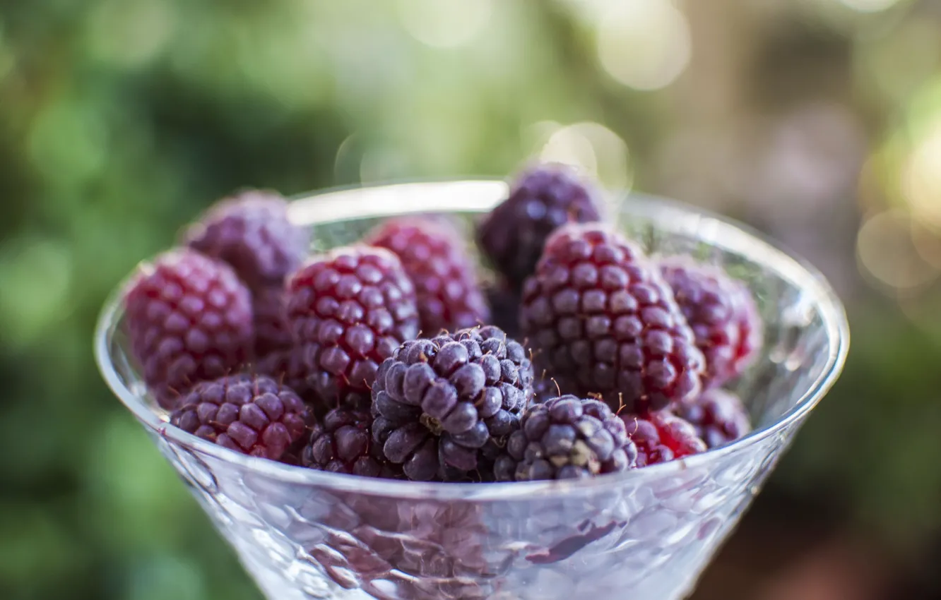 Photo wallpaper berries, raspberry, food