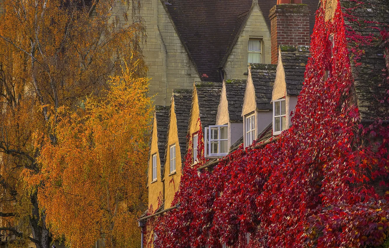 Photo wallpaper autumn, England, Oxford