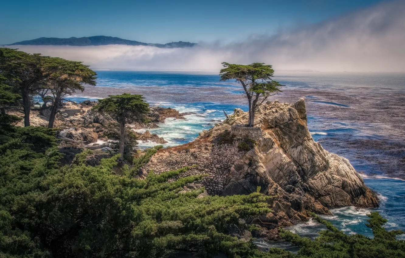 Photo wallpaper trees, rock, coast, CA, Bay, California, cypress, Pebble Beach