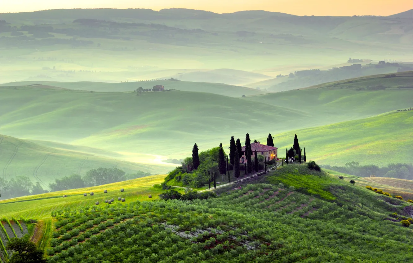 Photo wallpaper greens, field, trees, landscape, nature, fog, dawn, hills