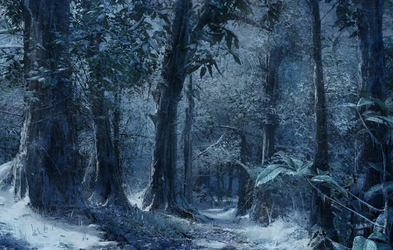 Photo wallpaper winter, forest, snow, trees, night, nature, art