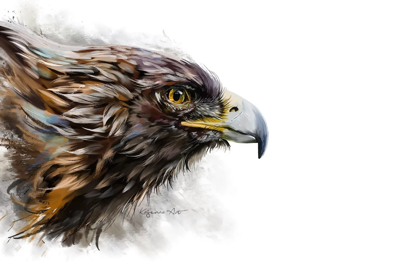 Photo wallpaper background, bird, eagle, beak, art, profile