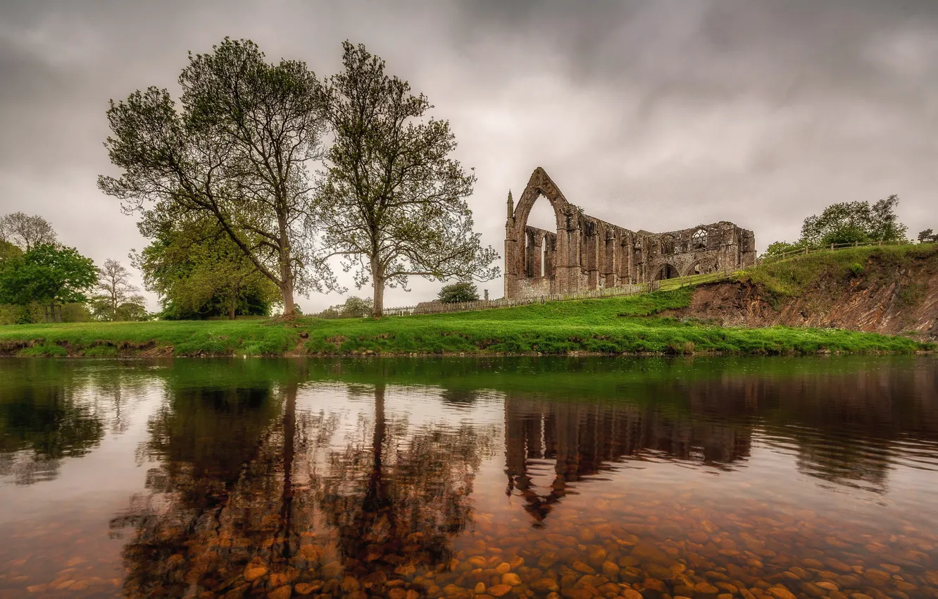 Photo wallpaper trees, nature, lake, England, ruins, Yorkshire, Abbey Bolton