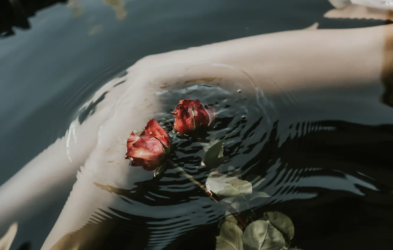 Photo wallpaper water, roses, legs, Andrea Pi