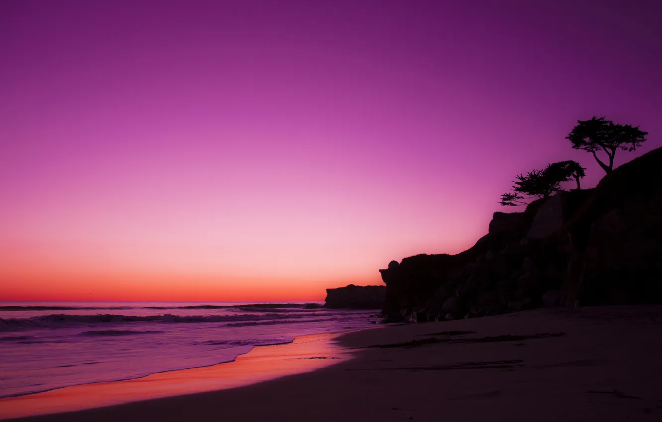 Photo wallpaper sand, beach, trees, rock, the ocean, dawn