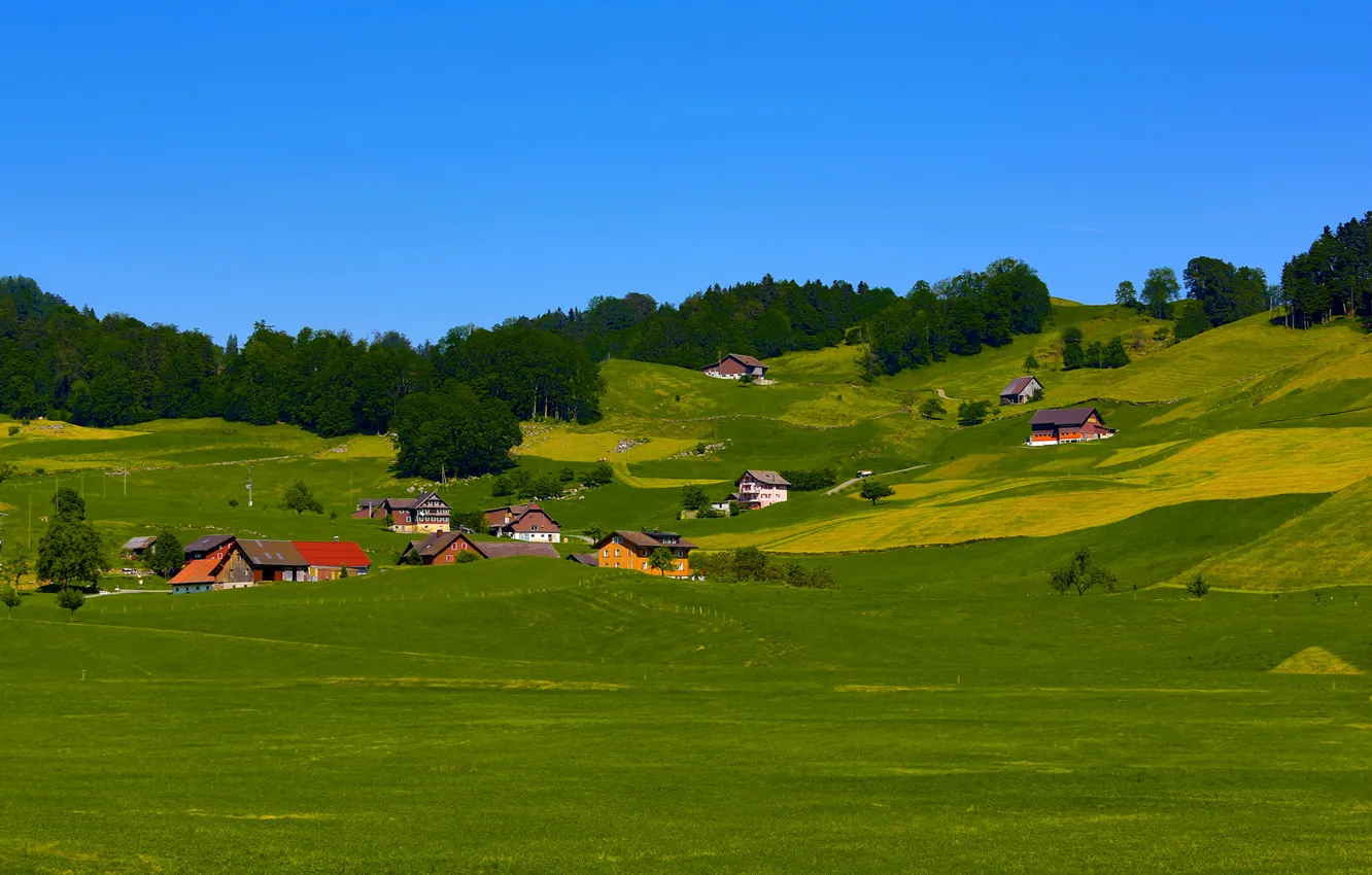 Photo wallpaper field, the sky, grass, trees, hills, home