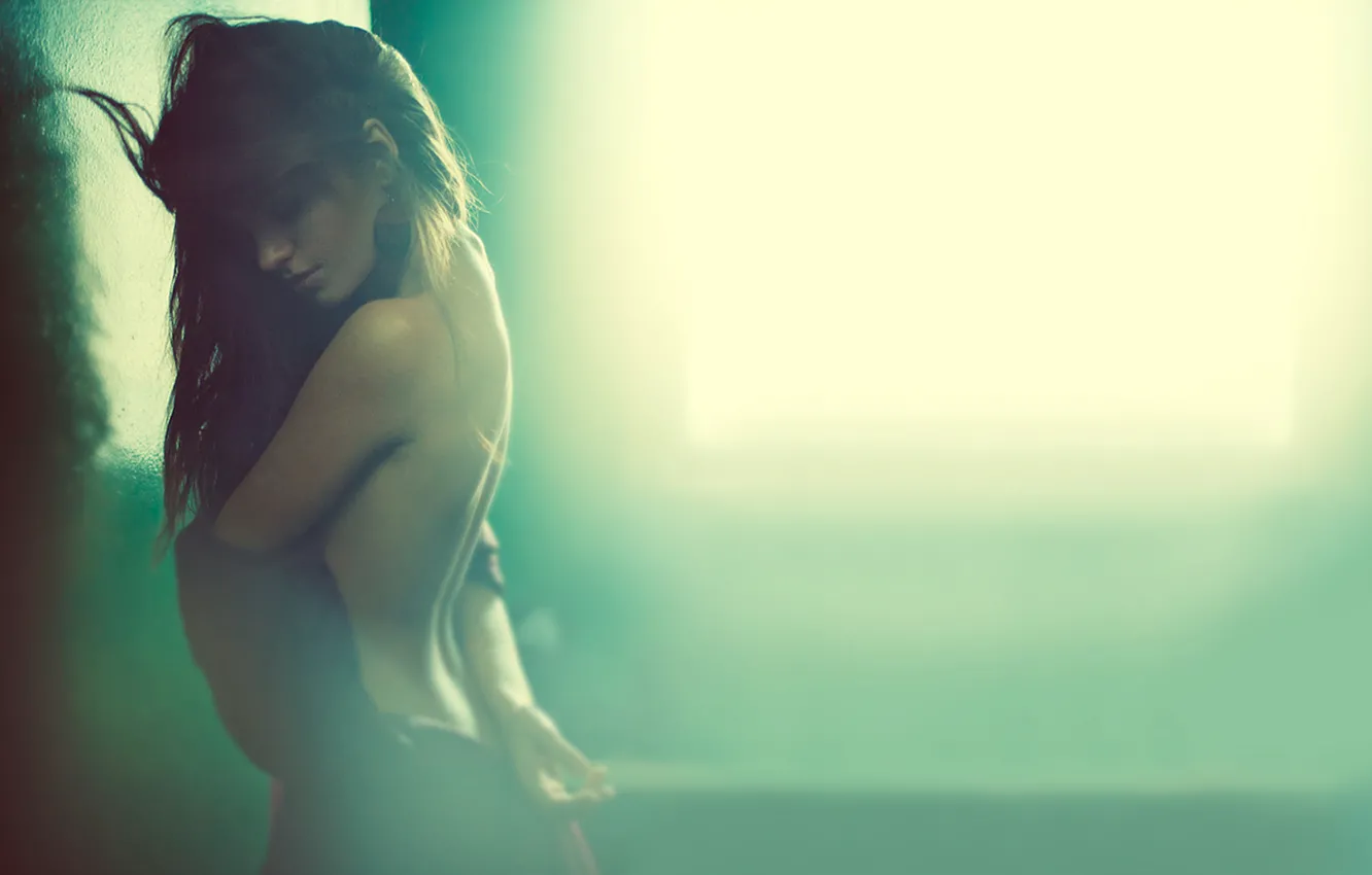 Photo wallpaper light, back, dress, window, brown hair, gracefully