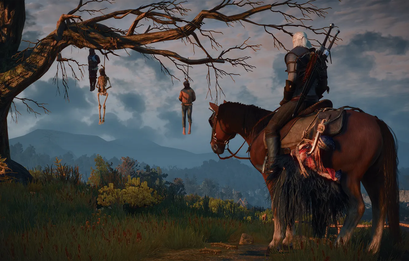 Photo wallpaper trees, The Wild Hunt, The Witcher, rpg, Geralt, CD Projekt RED, The Witcher 3, Wild …