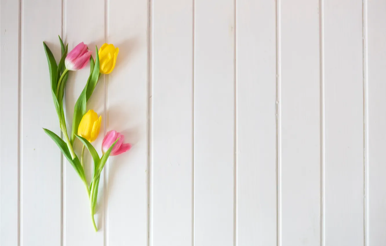 Photo wallpaper flowers, spring, yellow, tulips, pink, fresh, yellow, wood