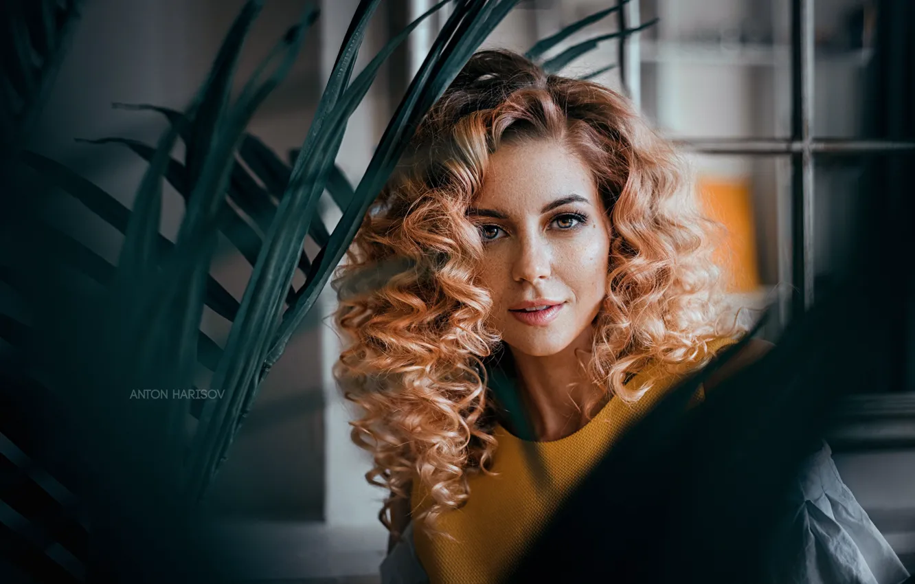 Photo wallpaper leaves, girl, portrait, makeup, window, curls, Anton Kharisov