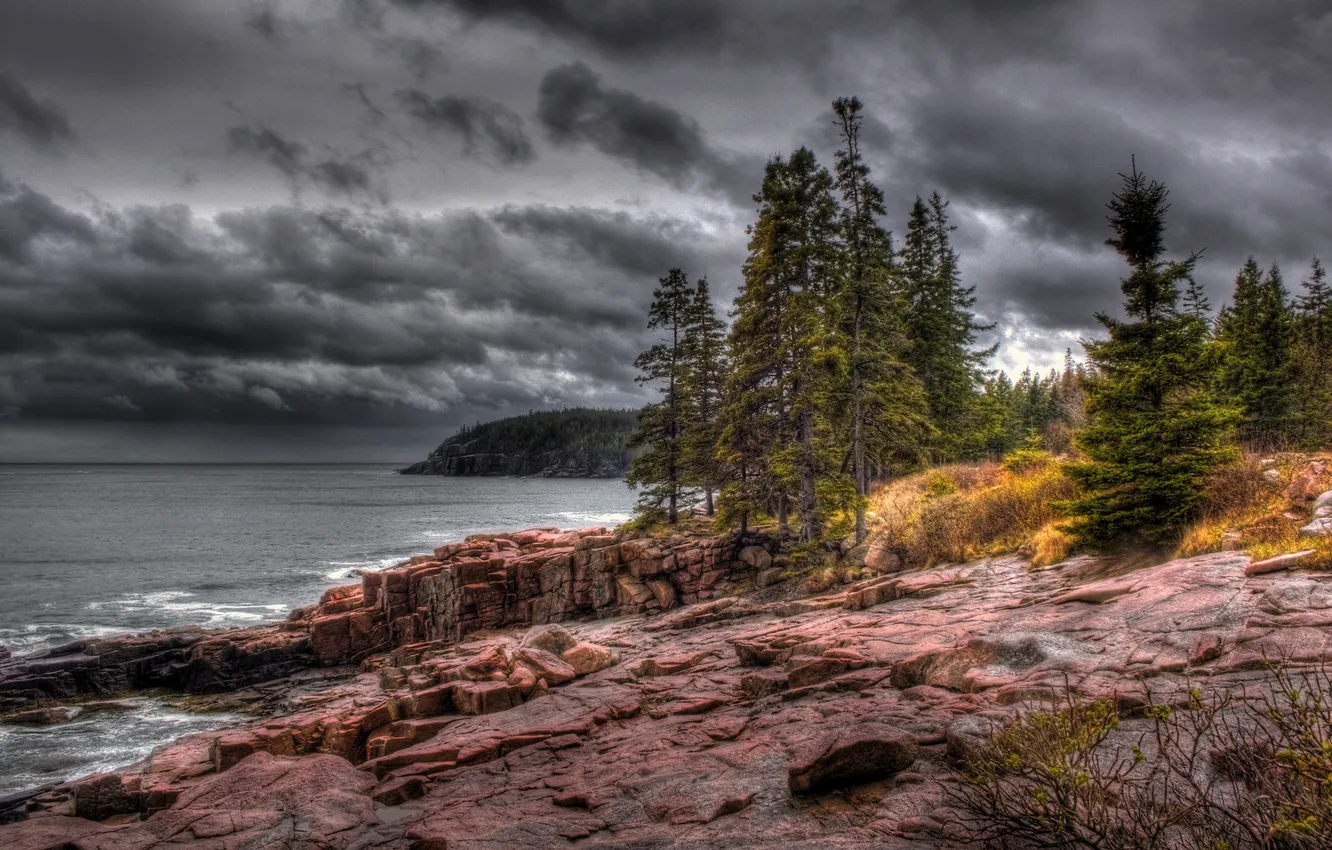 Photo wallpaper forest, the sky, trees, clouds, lake, rocks