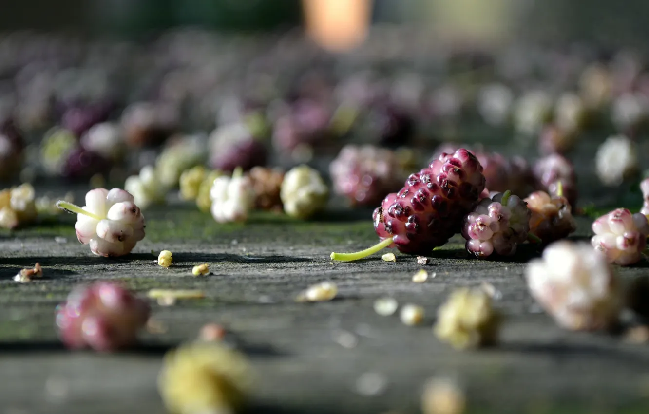 Photo wallpaper macro, feet, food, under, mulberry