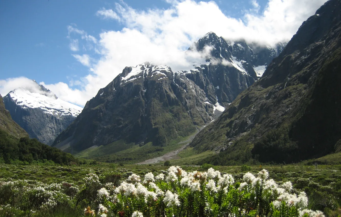 Photo wallpaper landscape, mountains, nature, photo, New Zealand, National Park, Fiordland