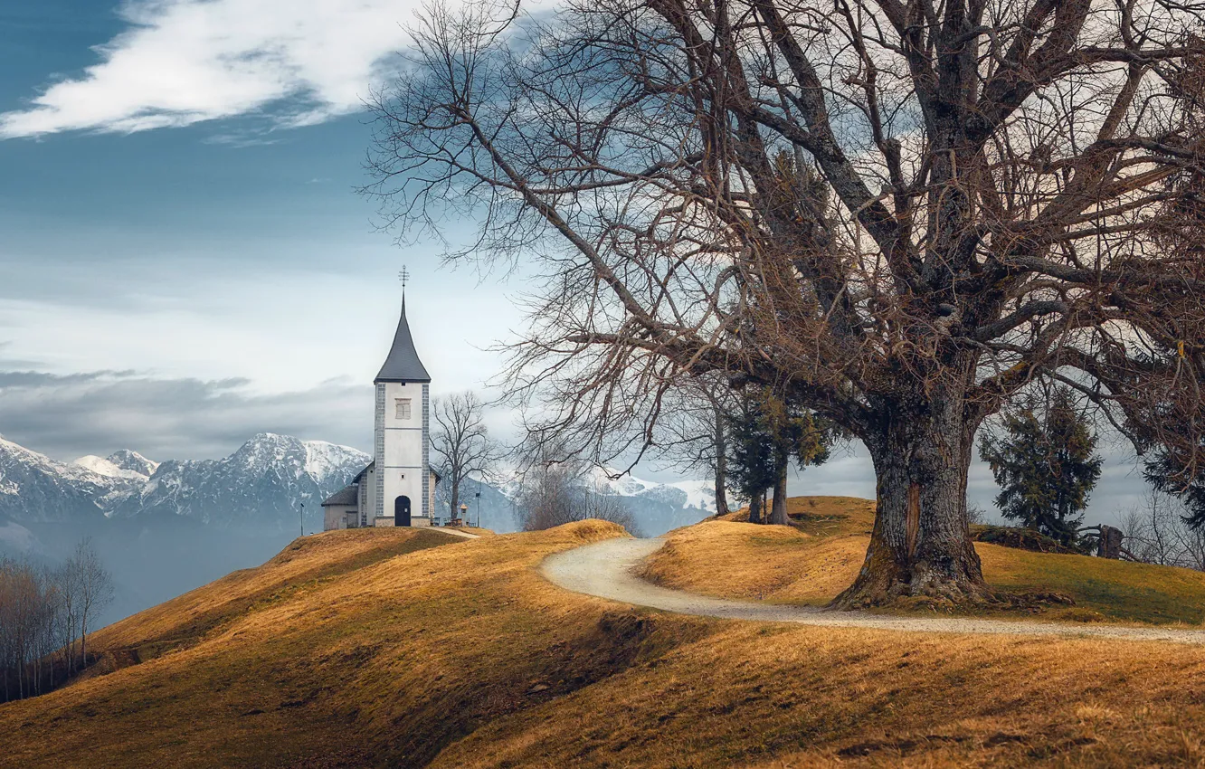 Photo wallpaper trees, mountains, nature, temple