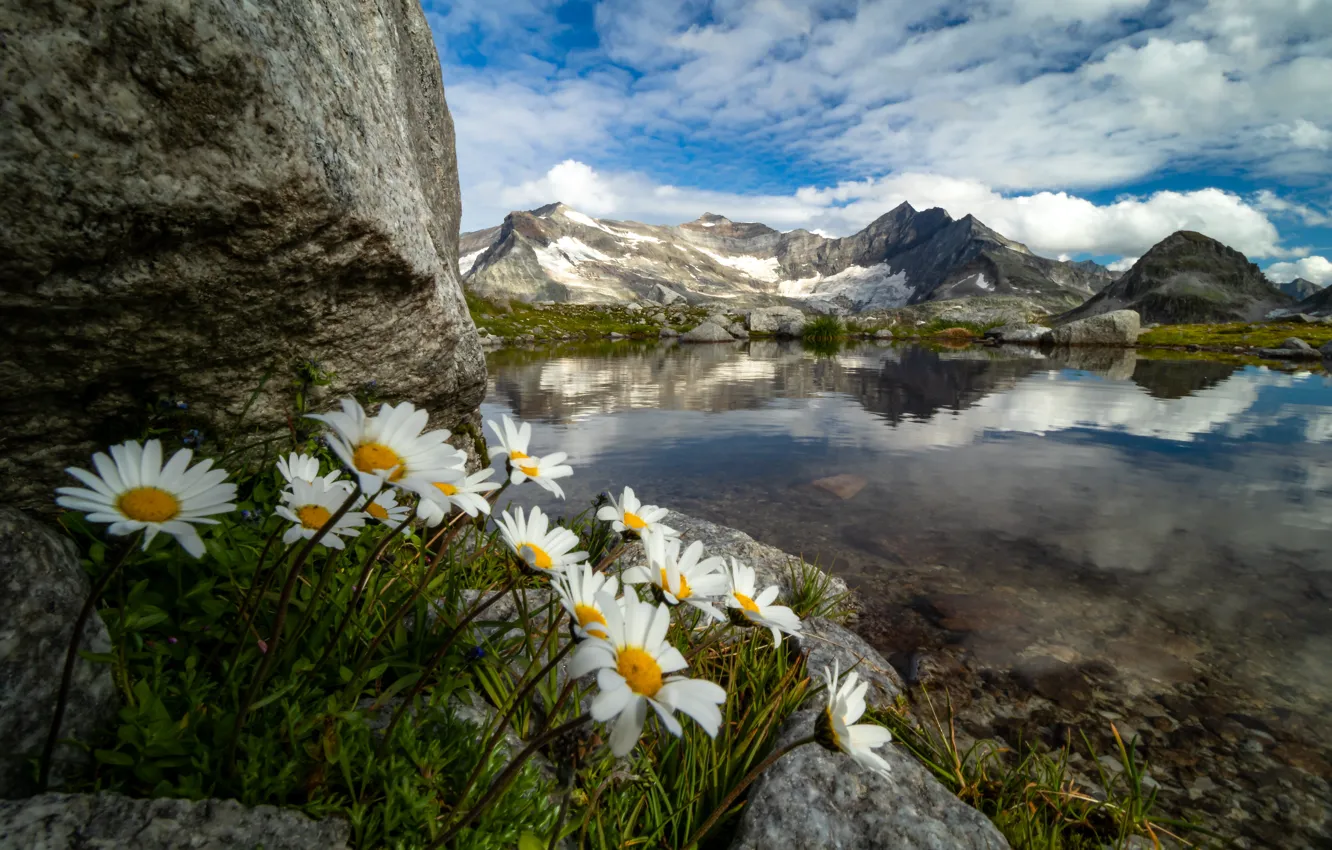Photo wallpaper the sky, clouds, flowers, mountains, lake, reflection, stones, rocks