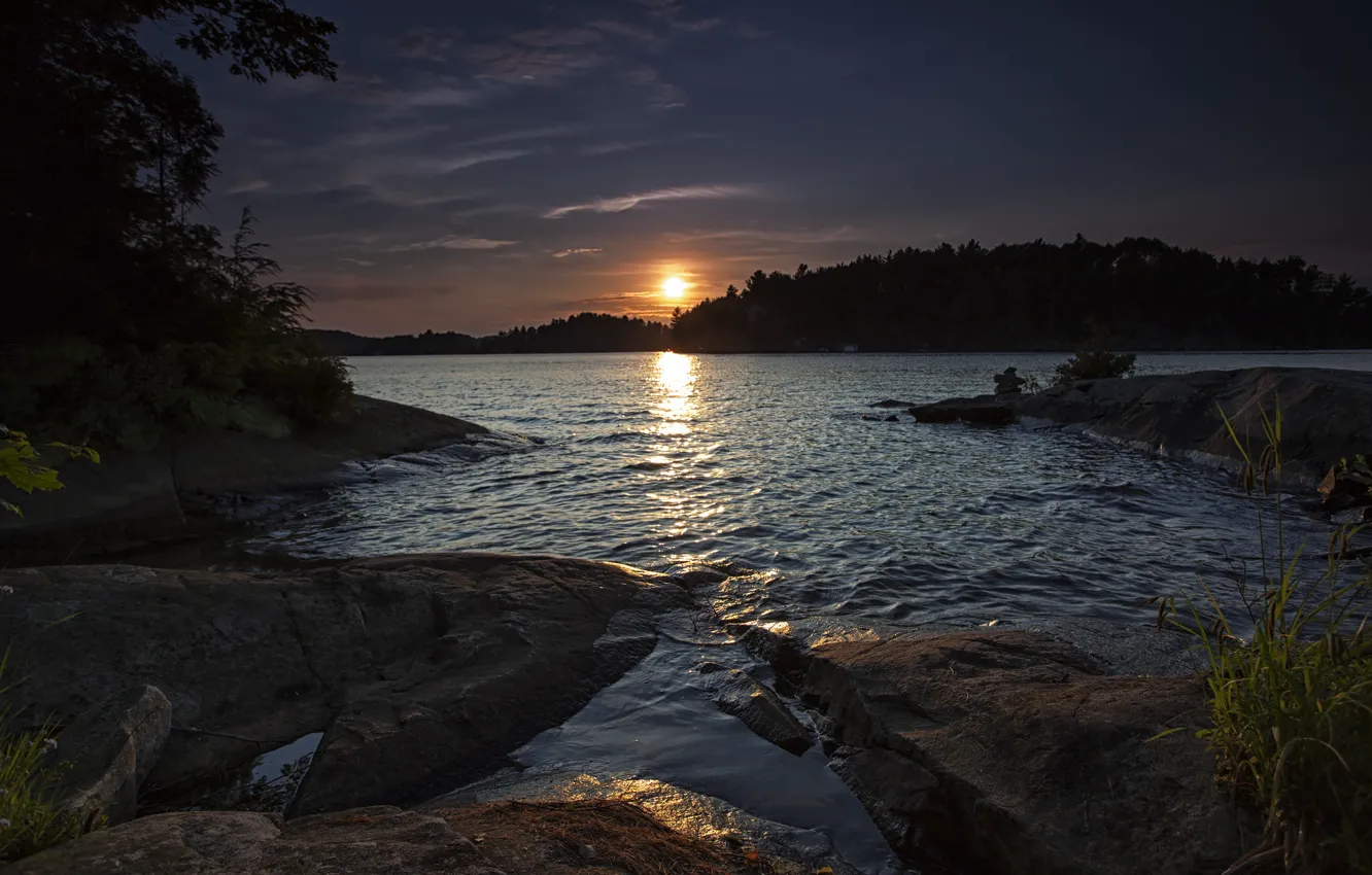 Photo wallpaper forest, sunset, lake
