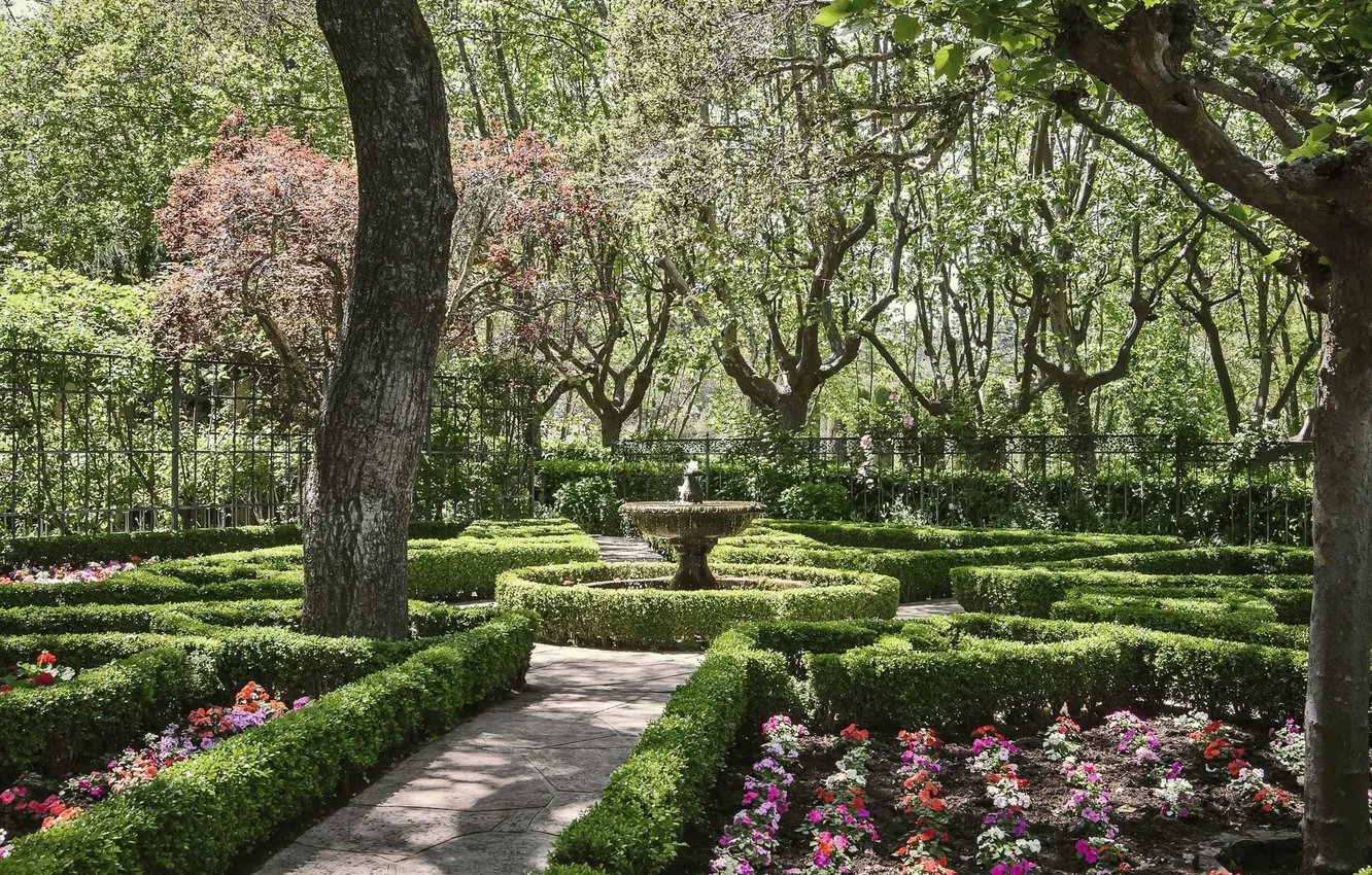 Photo wallpaper trees, flowers, nature, Park, plant, garden, track, trees