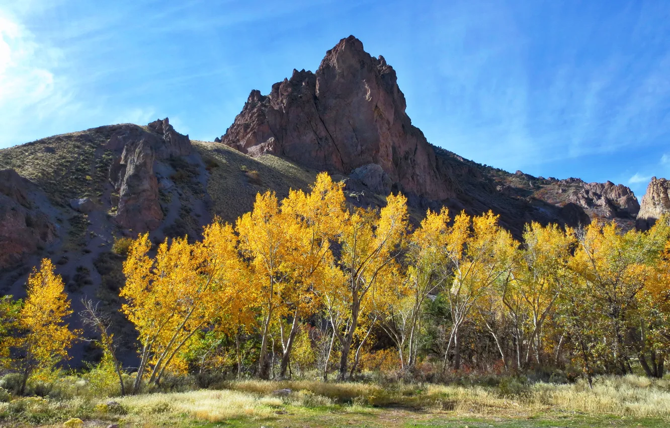 Photo wallpaper autumn, trees, mountains, Park, rocks, canyon, Utah, USA