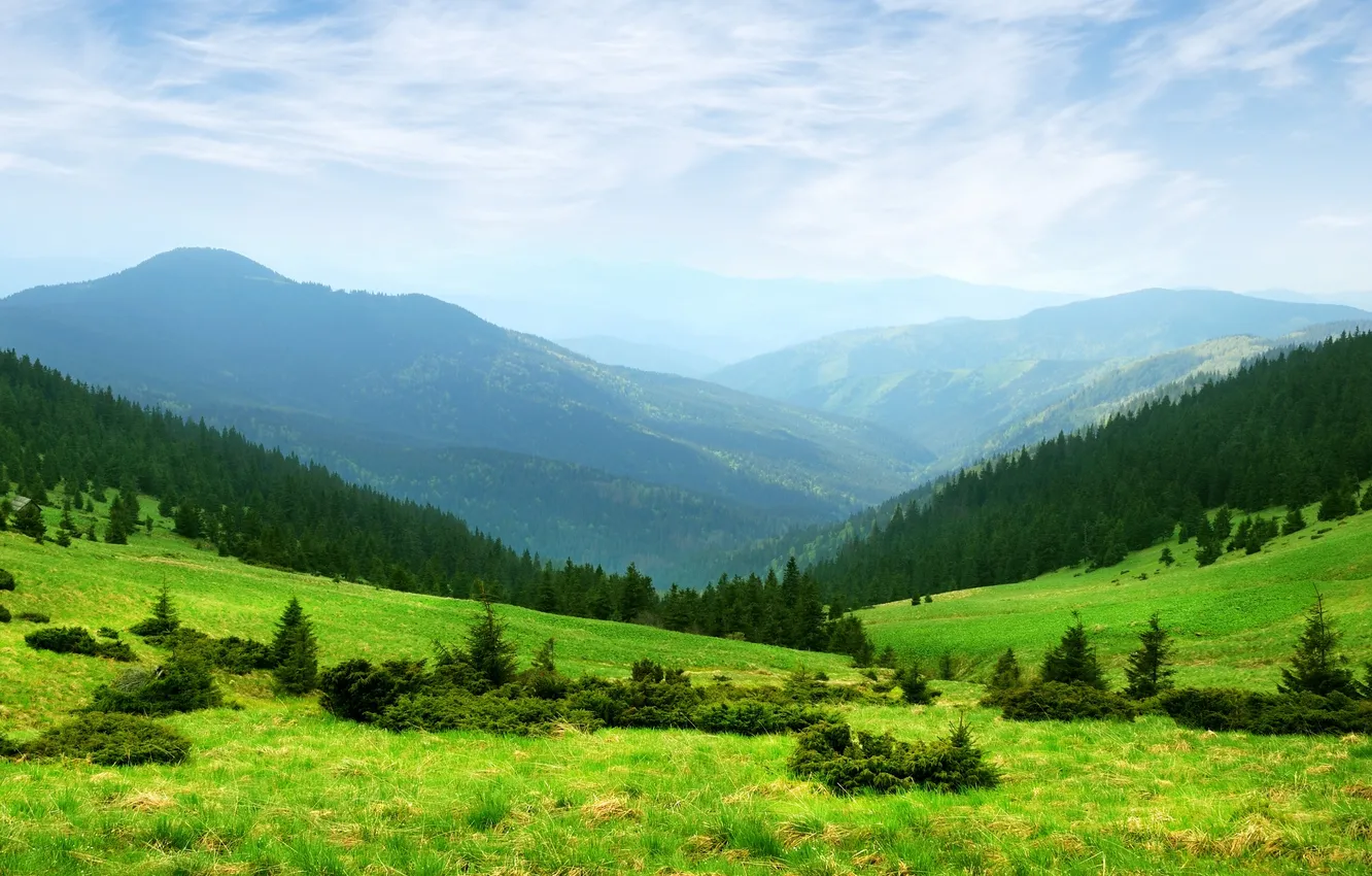 Photo wallpaper greens, grass, trees, mountains, nature, hills